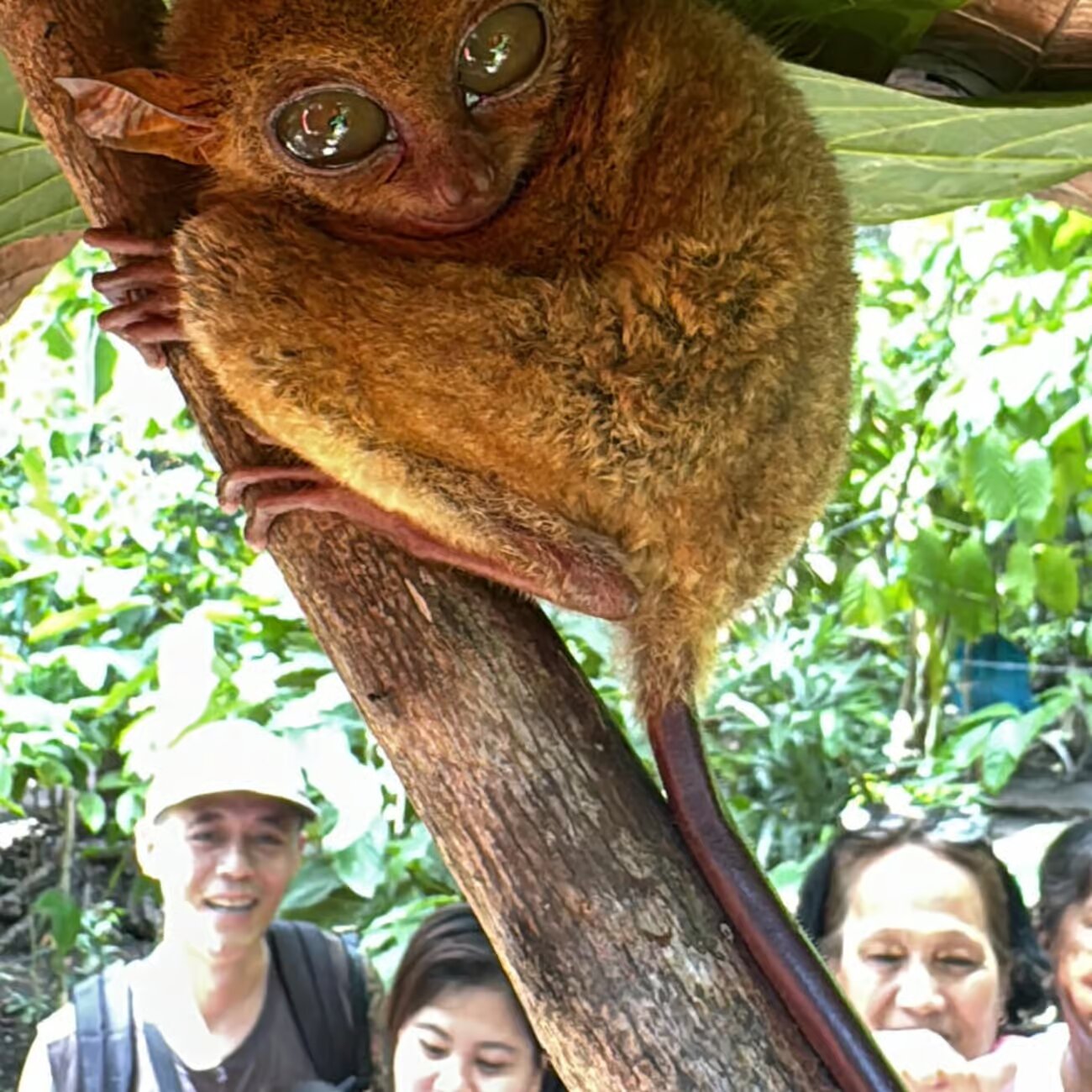 Property Image 12, Ship Image, BookMe Accommodation, Comfortable Stay, Affordable Prices.