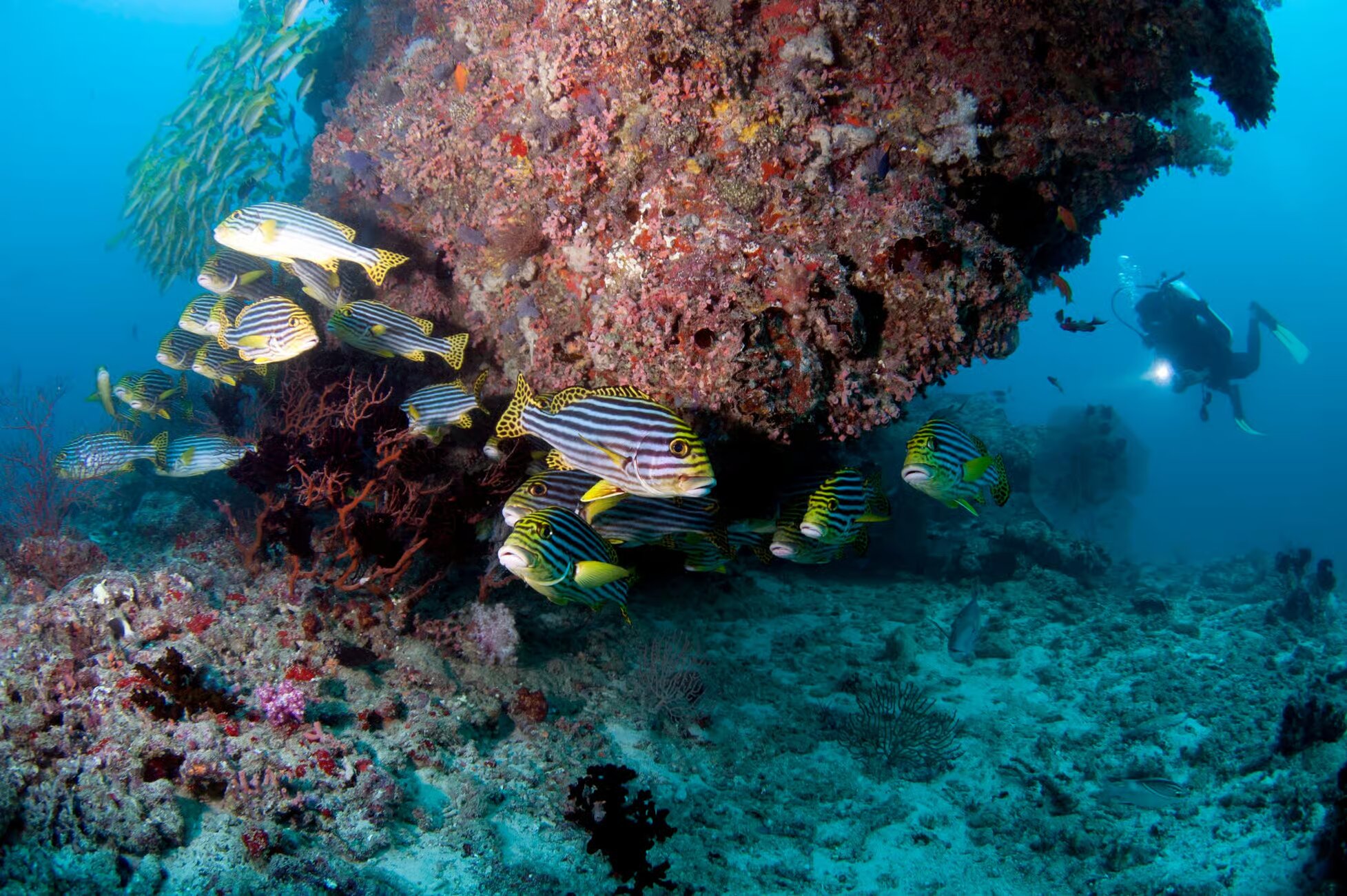 Property Image 1, Ship Image, BookMe Accommodation, Comfortable Stay, Affordable Prices.