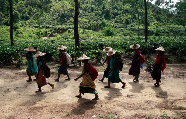 Property Image 9, Ship Image, BookMe Accommodation, Comfortable Stay, Affordable Prices.