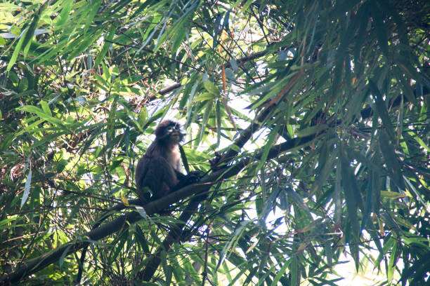 Property Image 2, Ship Image, BookMe Accommodation, Comfortable Stay, Affordable Prices.