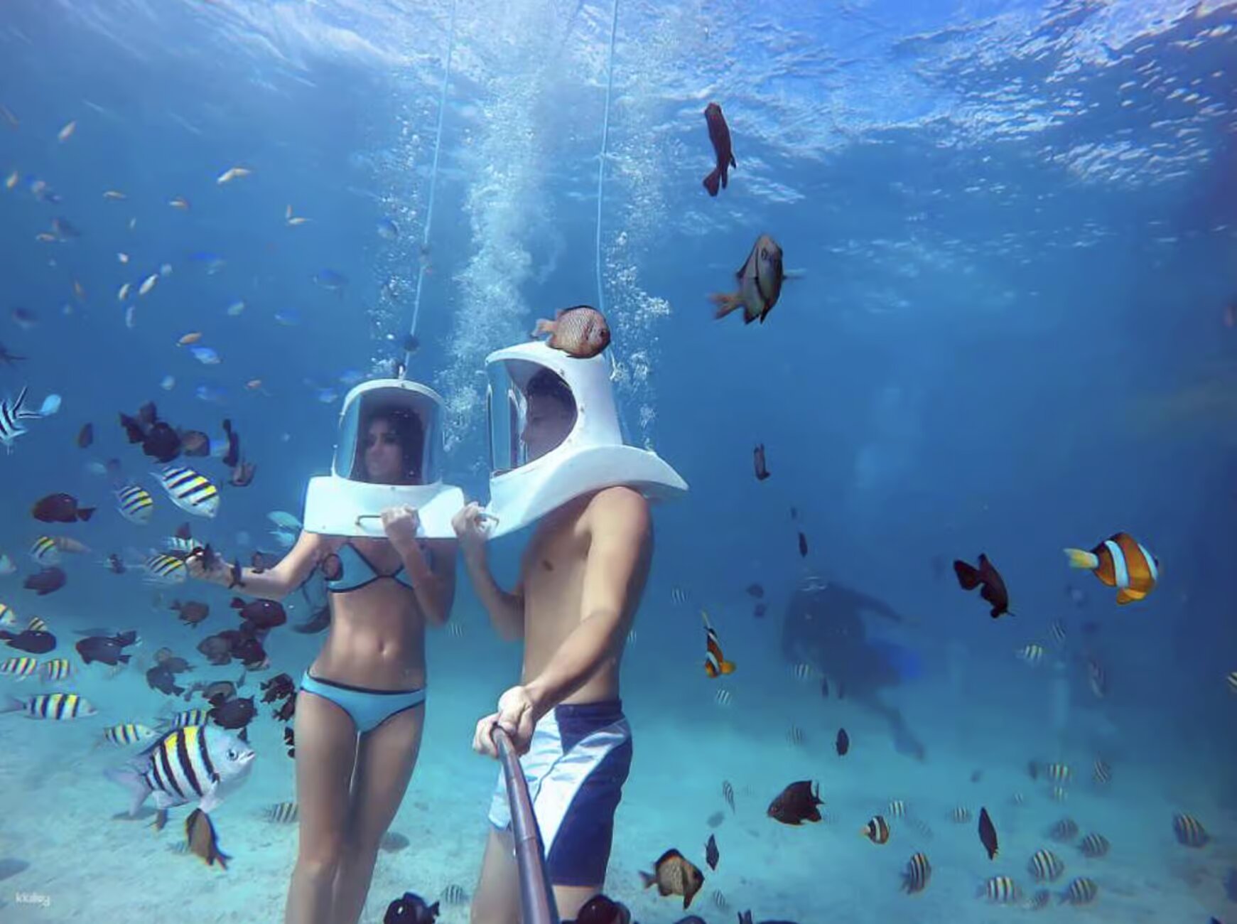 Property Image 12, Ship Image, BookMe Accommodation, Comfortable Stay, Affordable Prices.