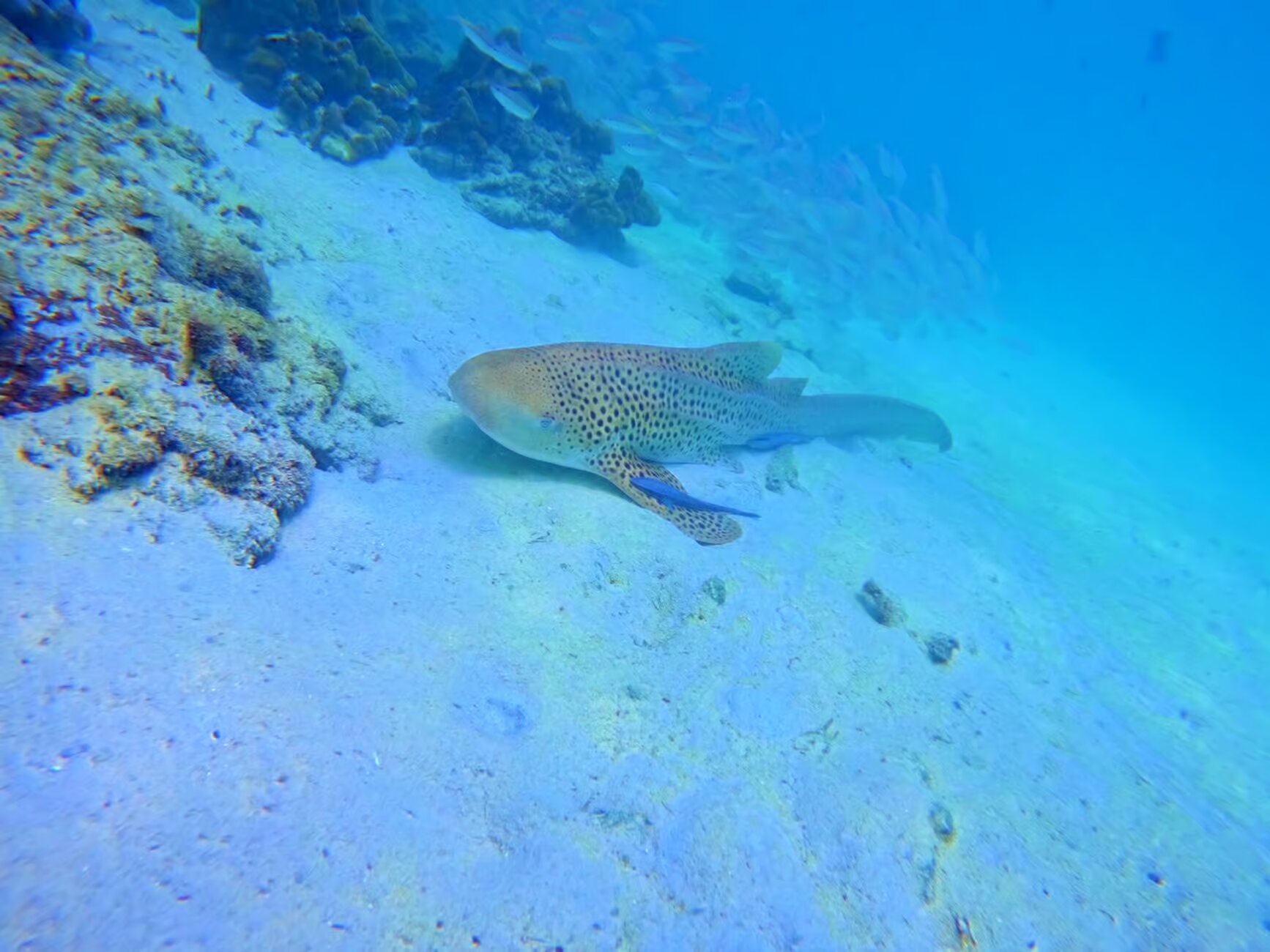 Property Image 7, Ship Image, BookMe Accommodation, Comfortable Stay, Affordable Prices.