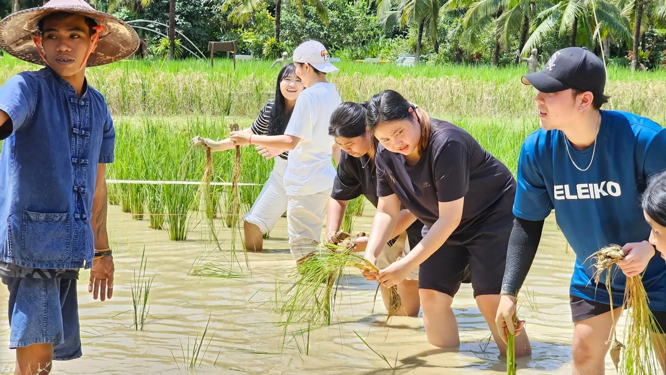 Property Image 9, Ship Image, BookMe Accommodation, Comfortable Stay, Affordable Prices.