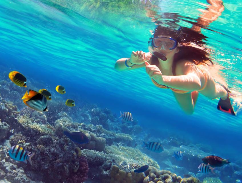 Image of Khai Islands Snorkeling and Relaxation Tour tour package, BookMe Travel Service, Exciting Tour Packages Available, Affordable Prices. Travel Activities.